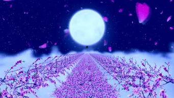 月之花语舞蹈教学视频,跟随教学视频，解锁古典舞韵