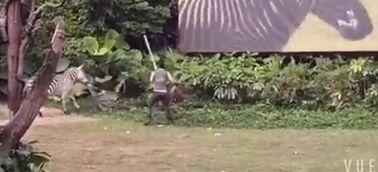 动物吃人视频,揭秘动物捕食人类的真实场景